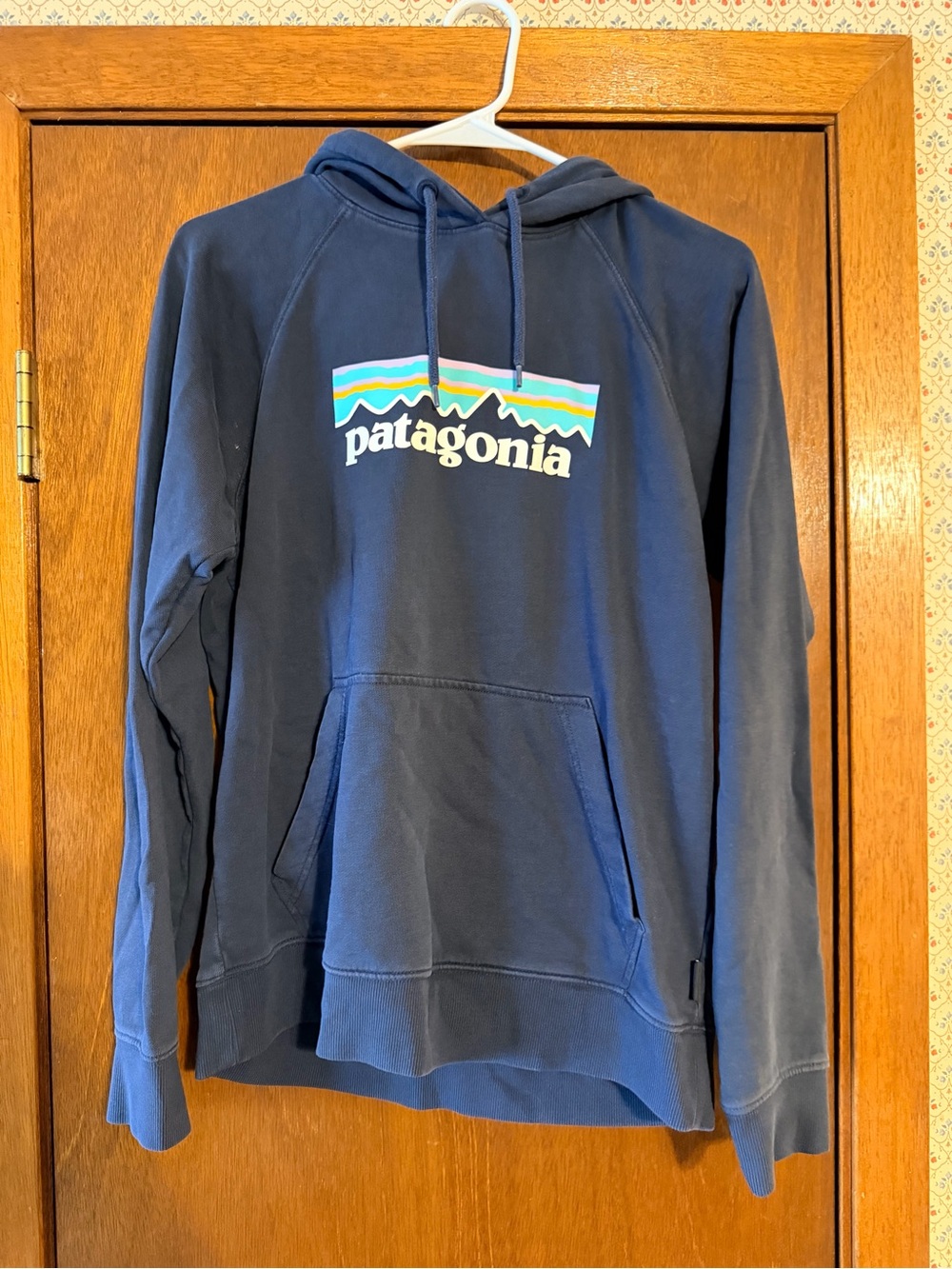 Patagonia Men's Navy Hoodie with Multicolor Logo